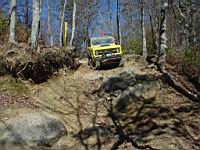 tellico1003-077.jpg